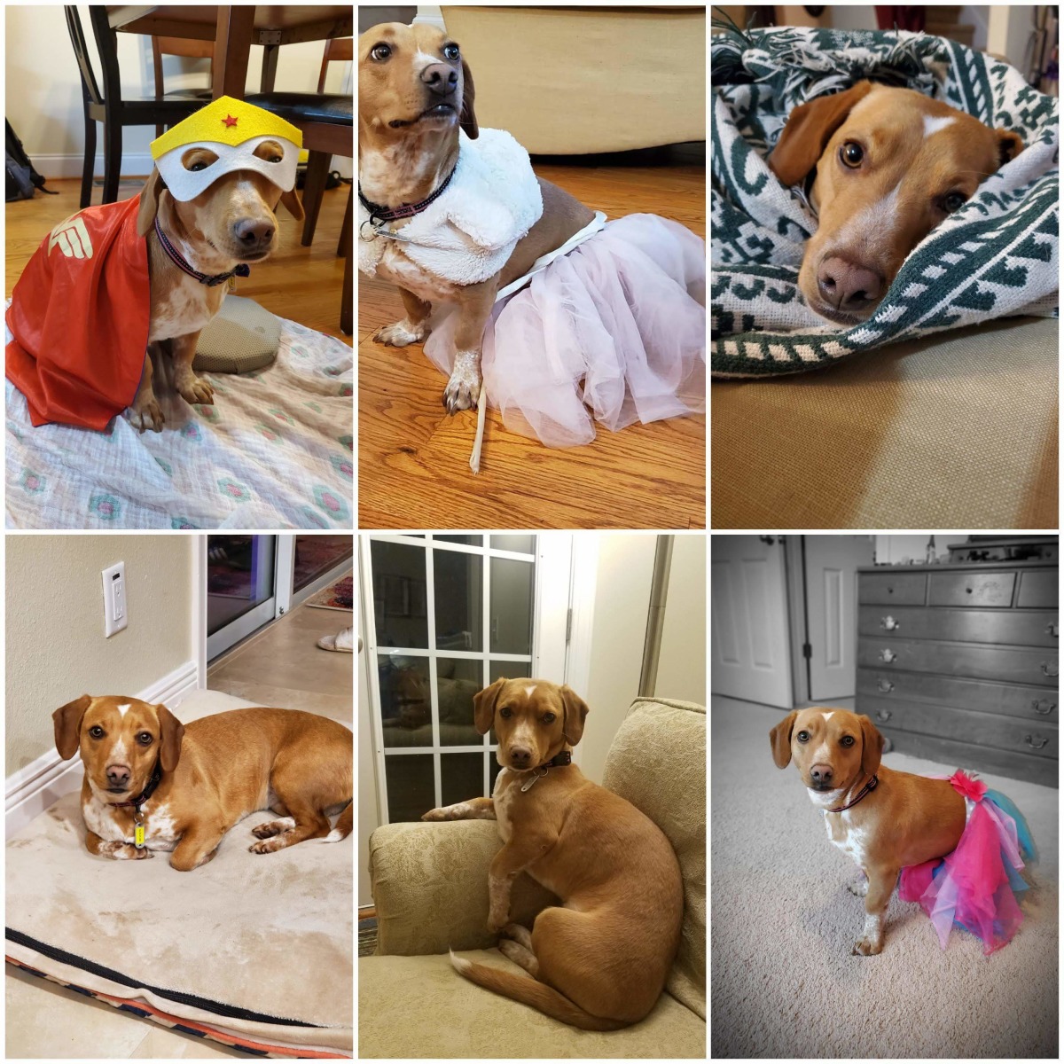 Zoe
