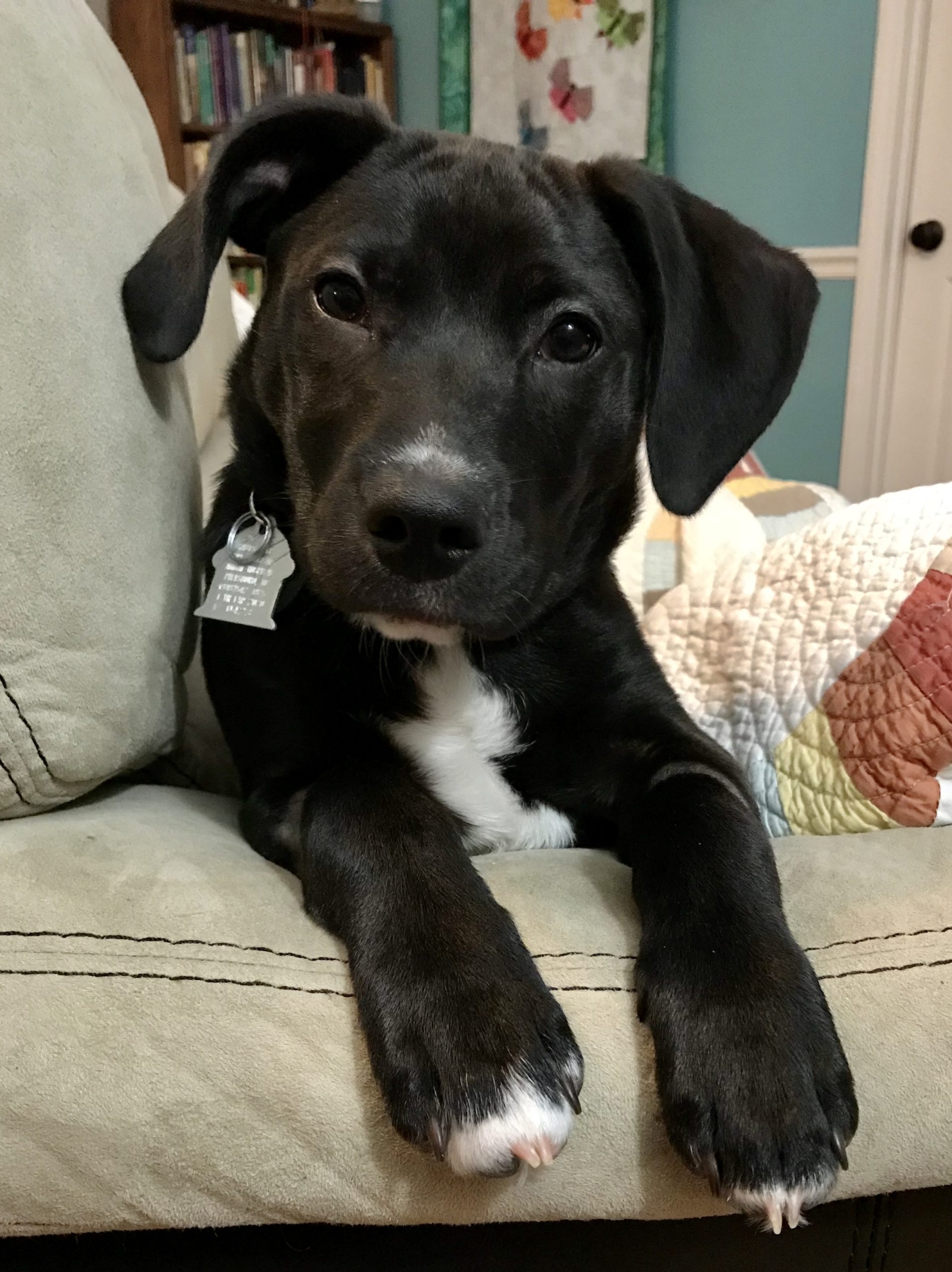 Our Fig