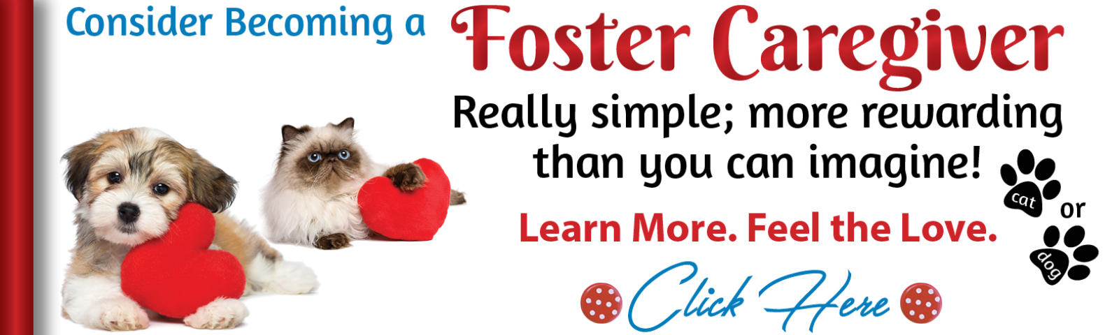 Become a Foster Cargiver slider V2