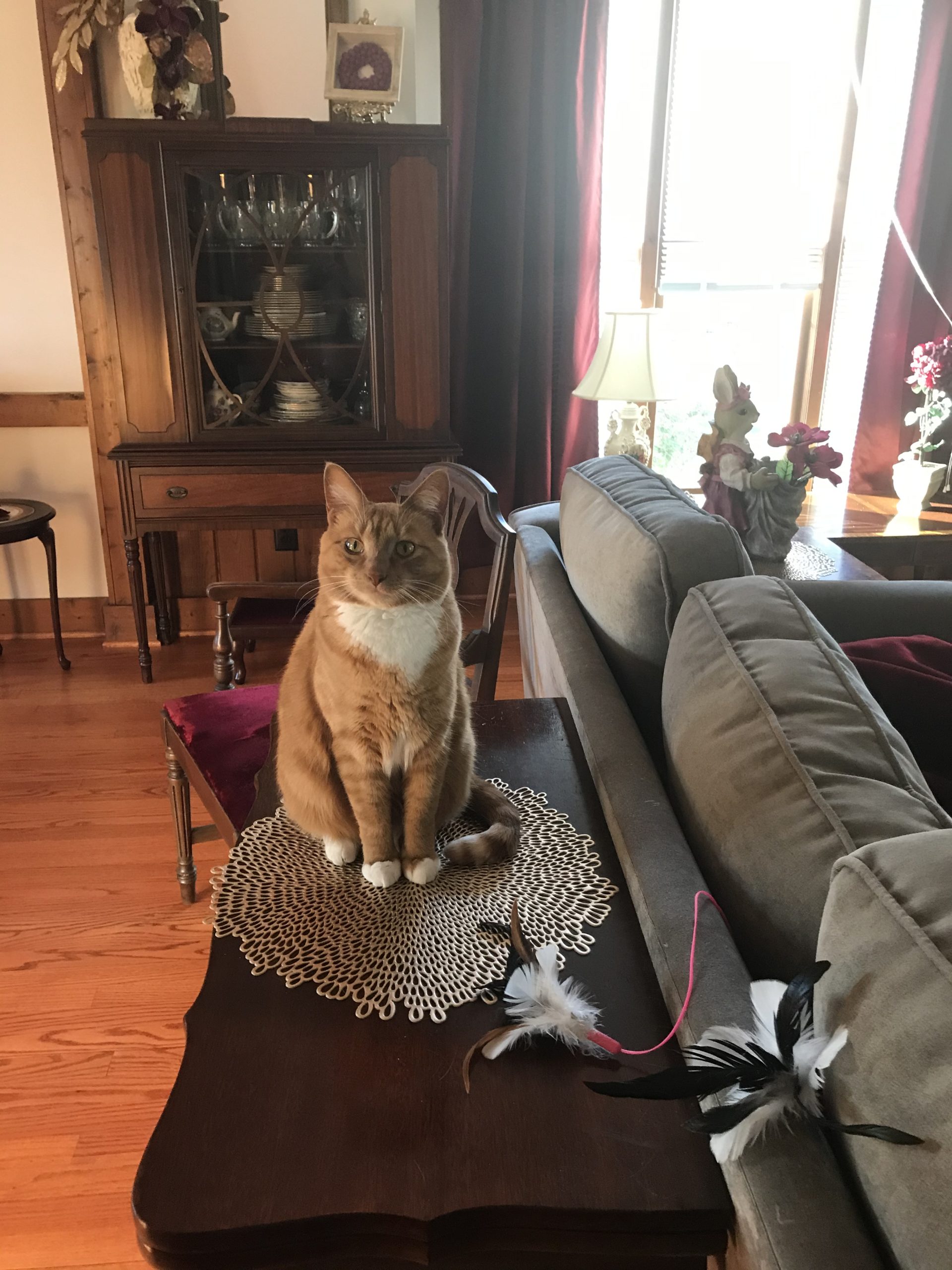 Beautiful Olivia