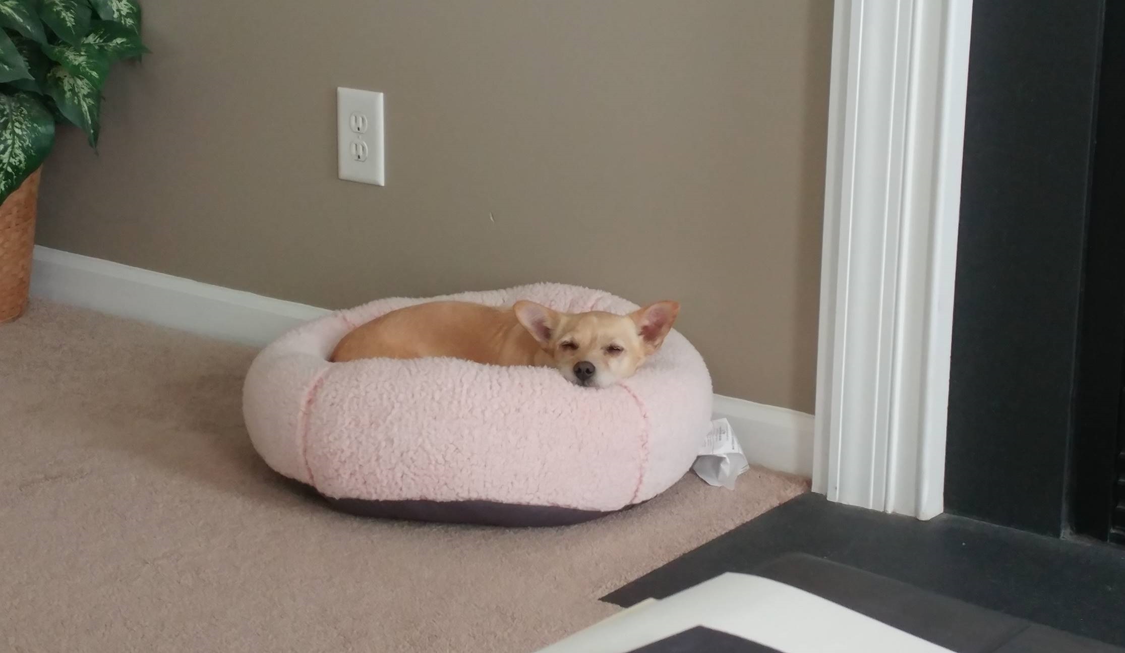 Luna