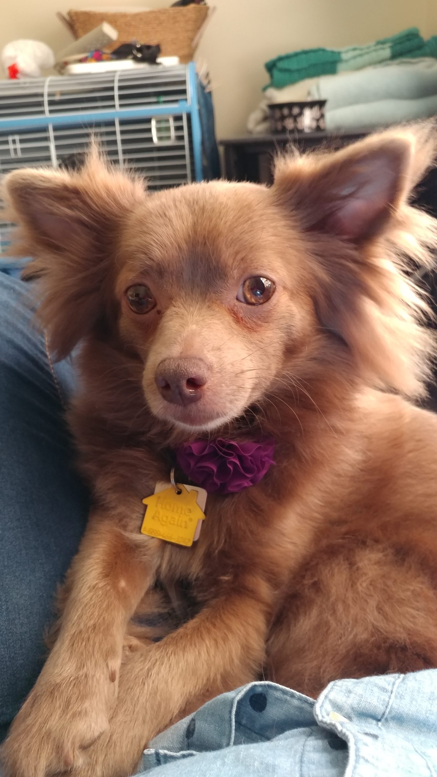 A happy ending for Sheila!