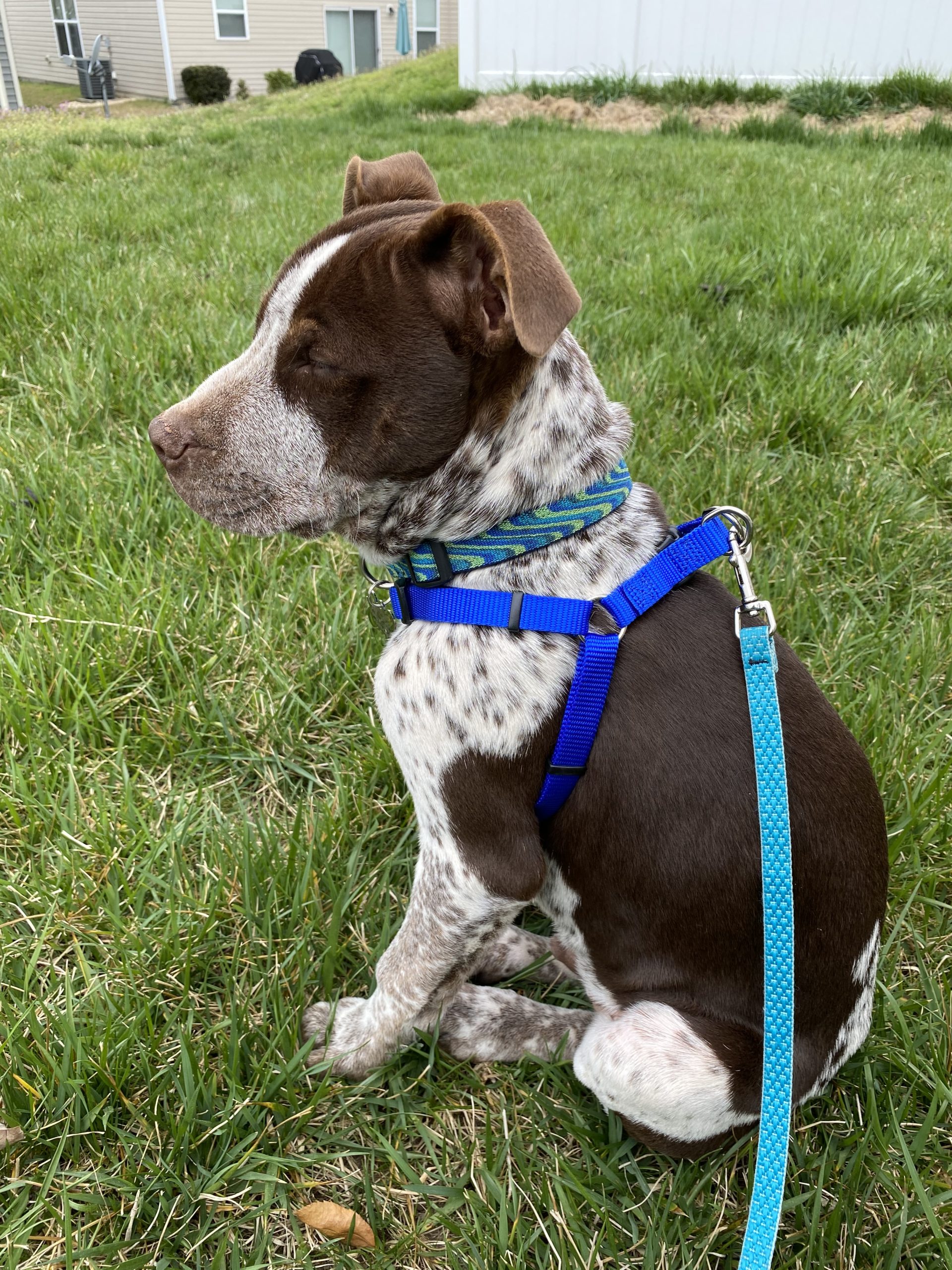 Our boy, Simon!