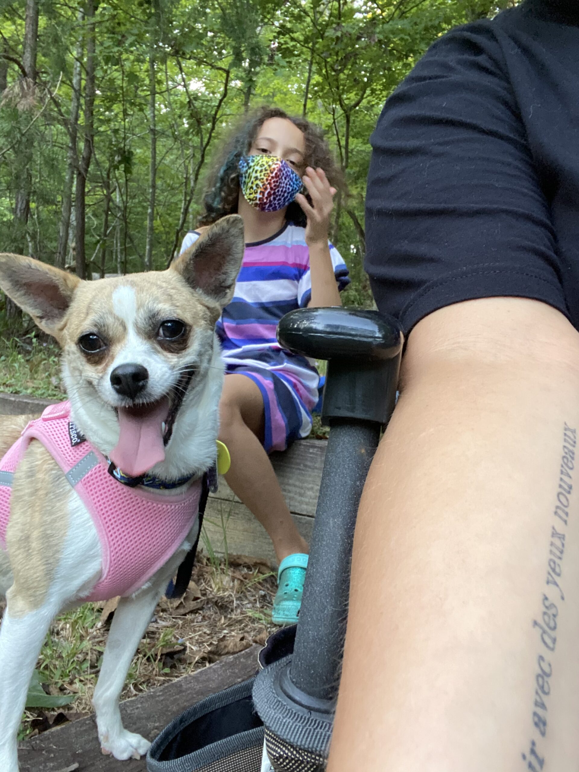 Happy Adopters