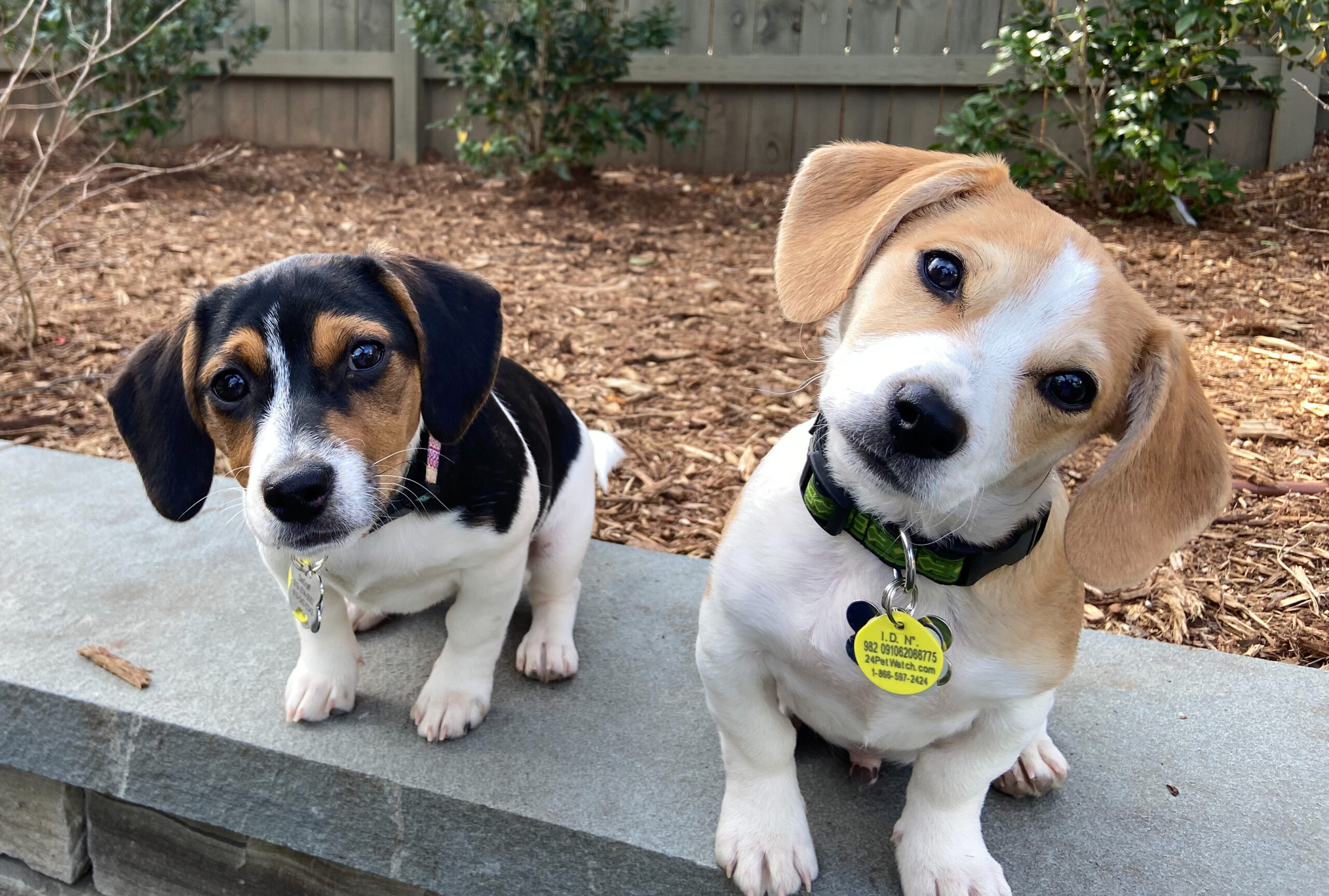 You’re a Good Man Charlie Brown….and You’re Not So Bad Either Peppermint Patty!