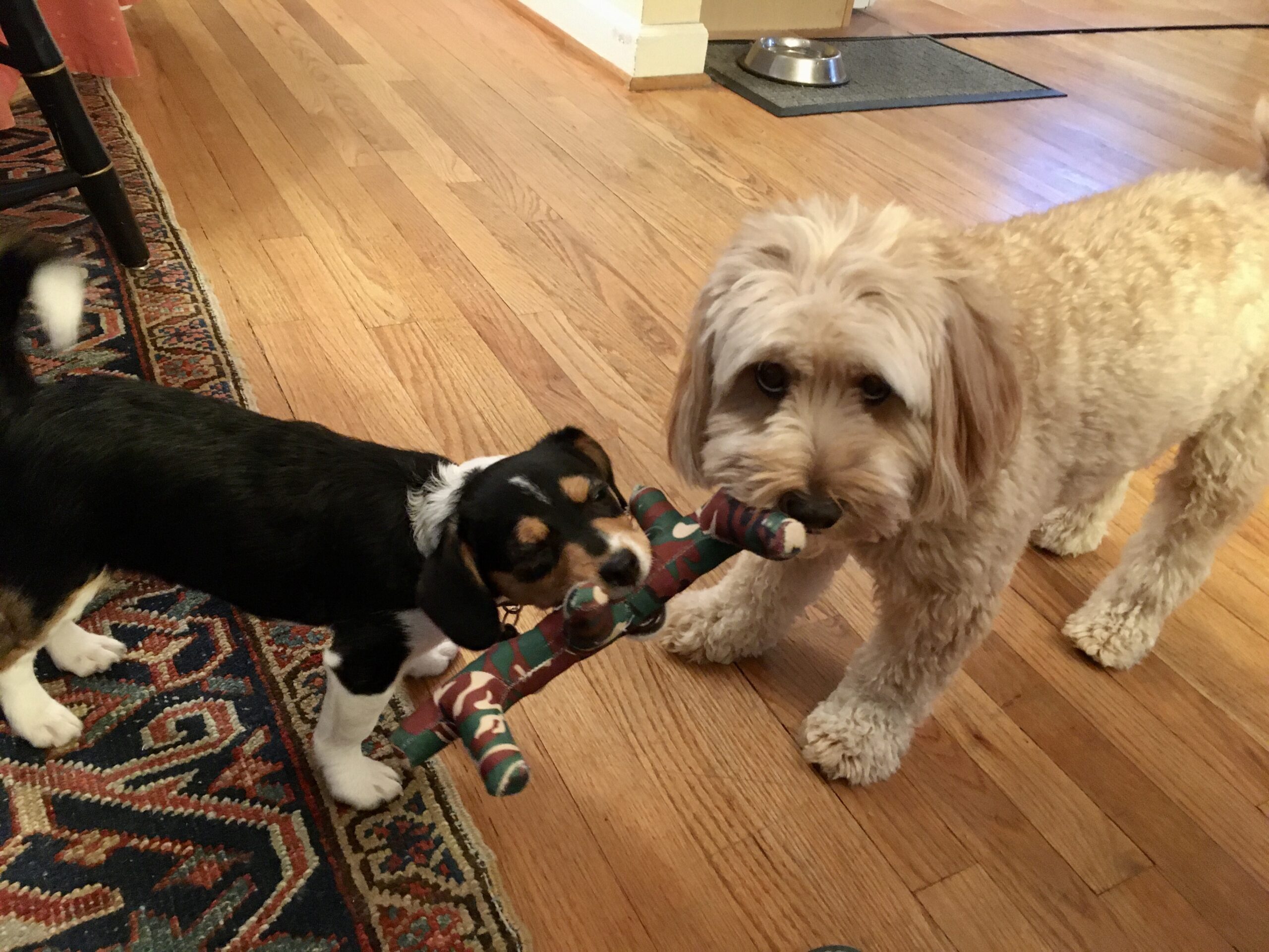 Love at first sight
