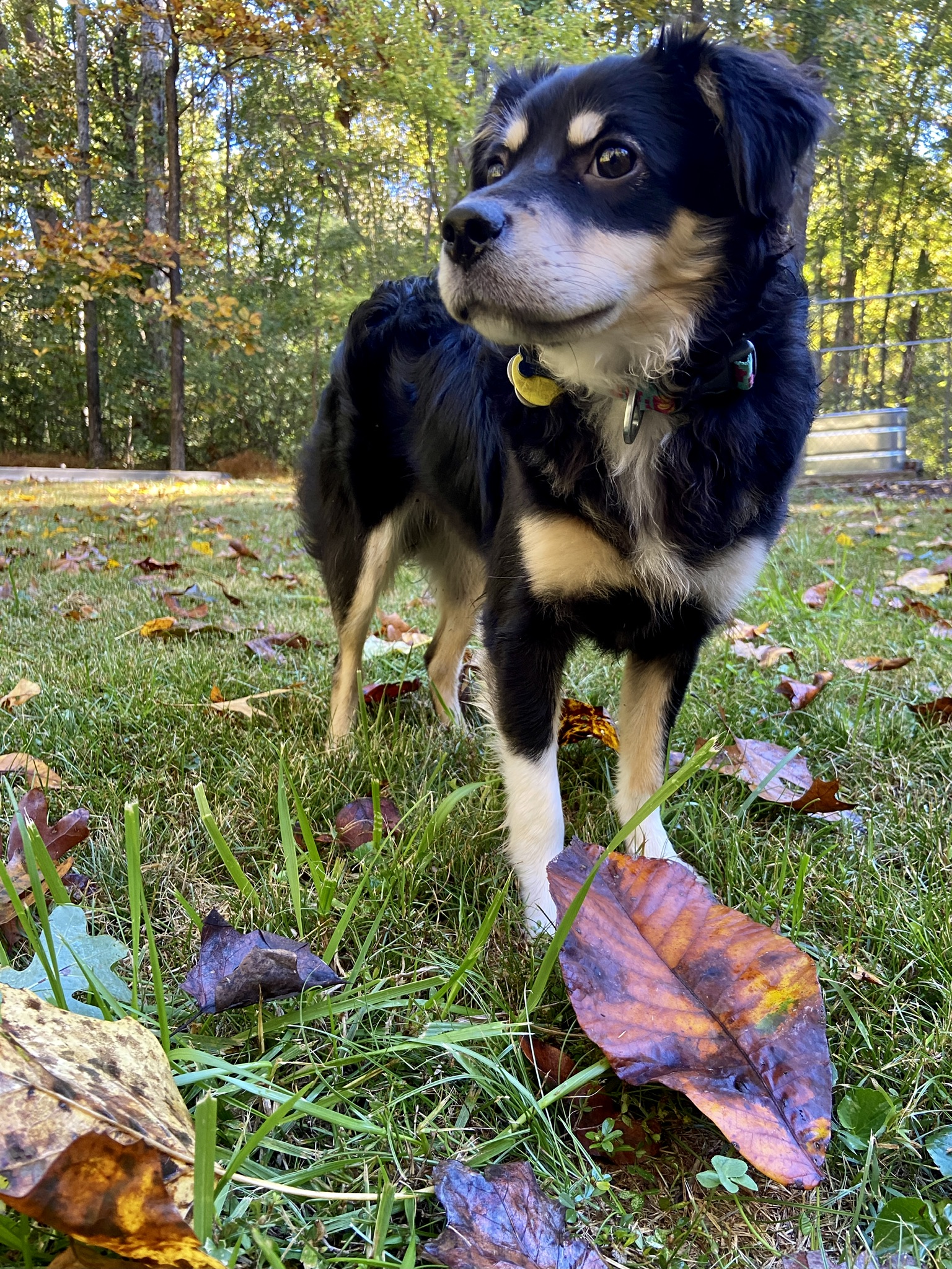 Ella!