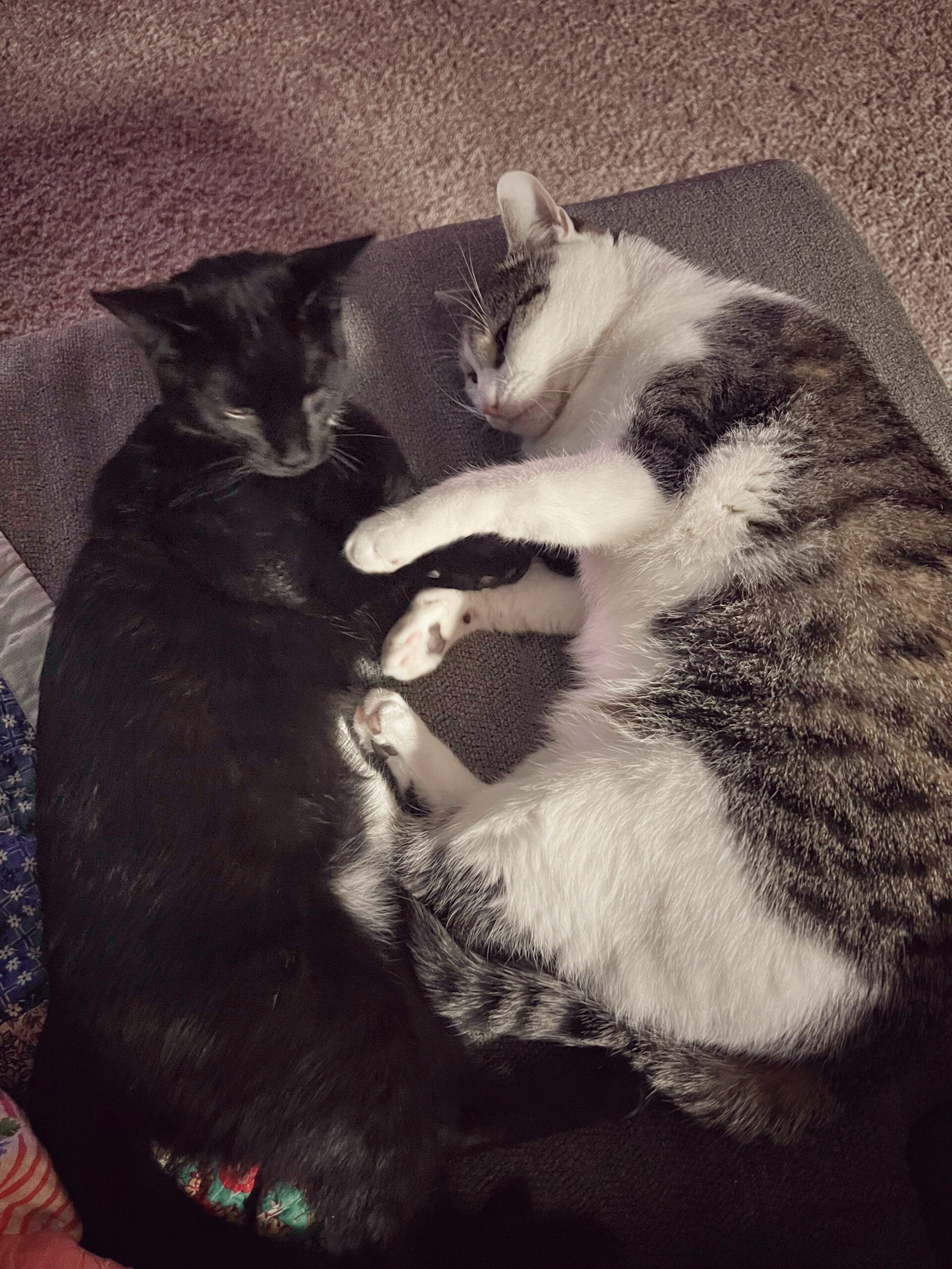 Best Friends
