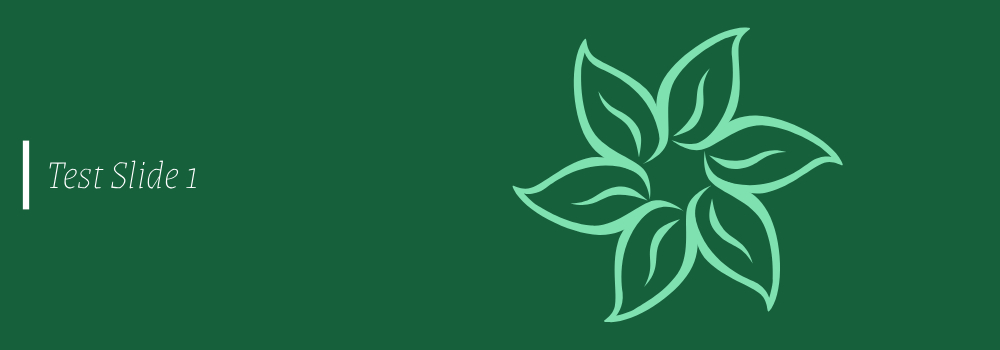 test slide 1 – 1000 x 350