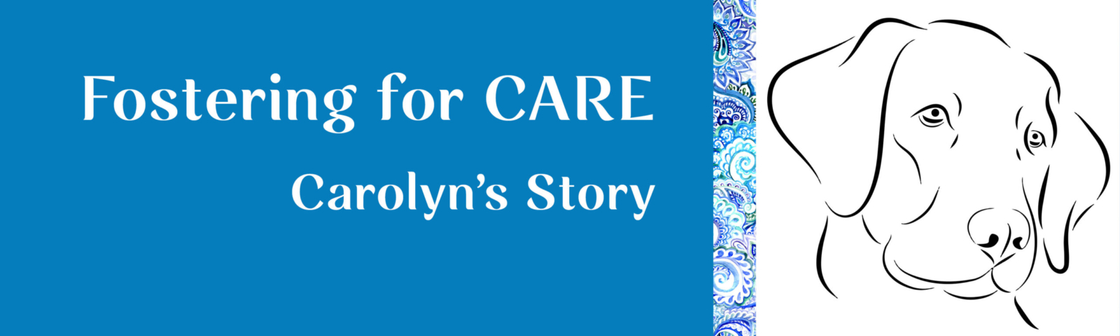 Chatham Animal Rescue – Supporting the cats and dogs of Chatham County, NC.