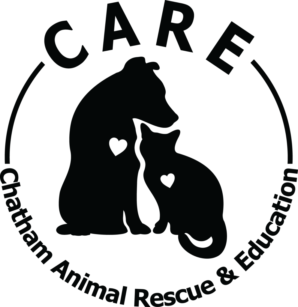 CARE-Logo-HiRes