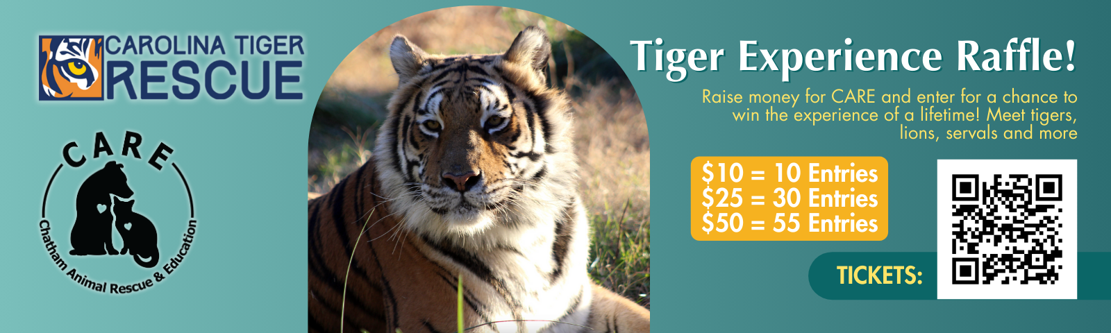 Tiger Experience banner