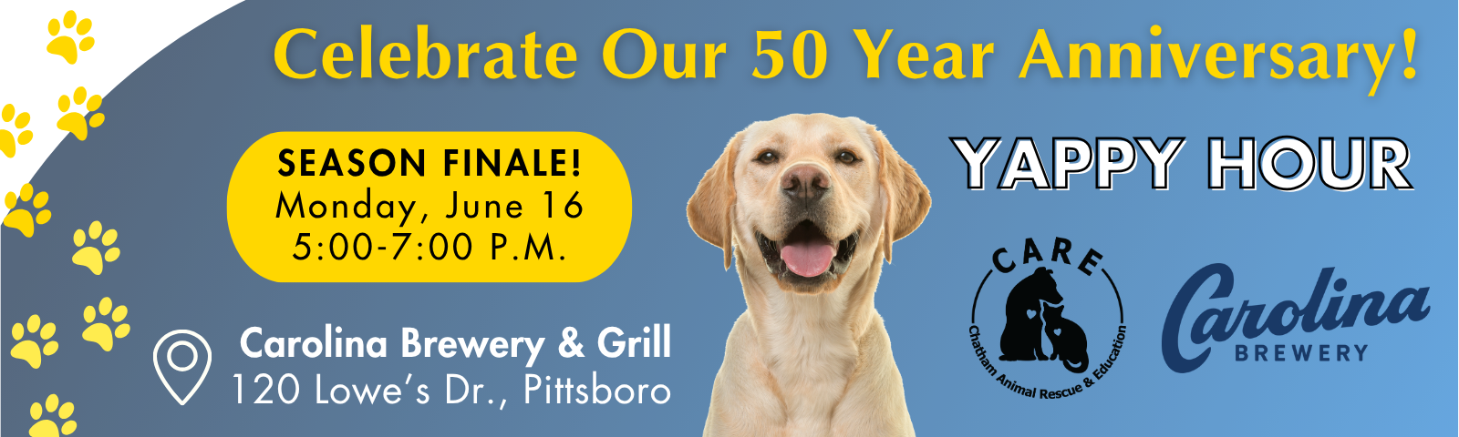 Yappy Web Banner - June 16 - 50 year