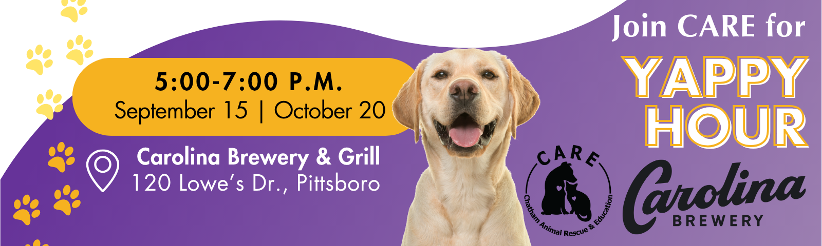 Yappy Web Banner – Sept Oct 2025