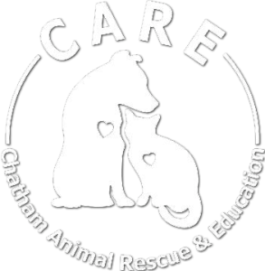 Chatham Animal Rescue | Supporting the cats and dogs of Chatham County, NC.