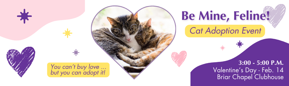 Be Mine, Feline! website banner