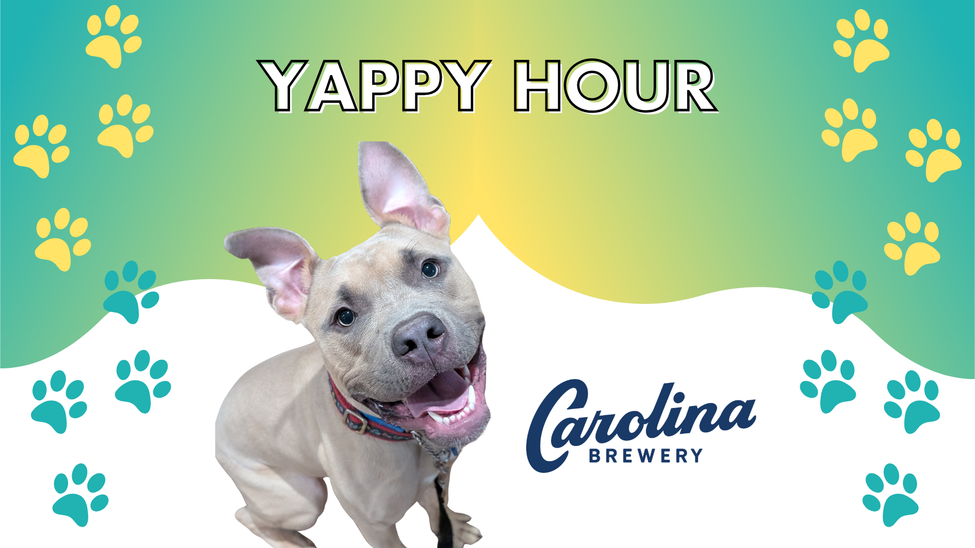 Yappy Hour - April