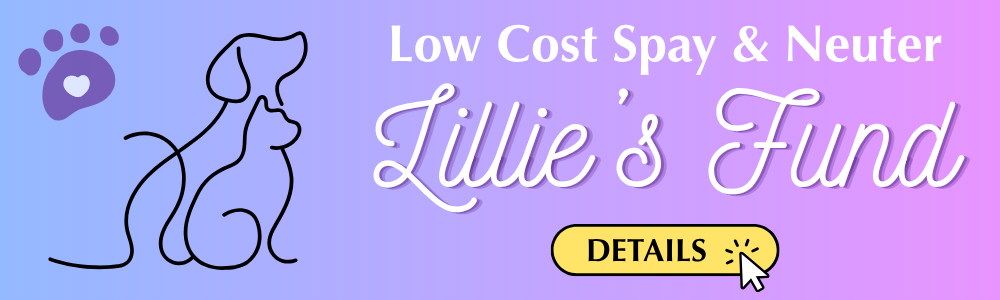 Lillie's Fund banner